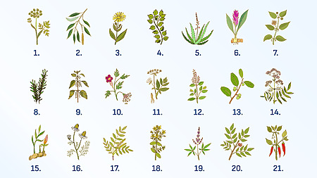 Home remedies for back pain includes various herbal remedies